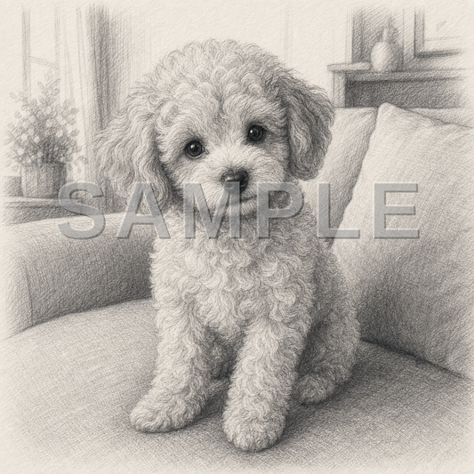 Pet Poster pencil-sketch Sample - dog-toy-poodle